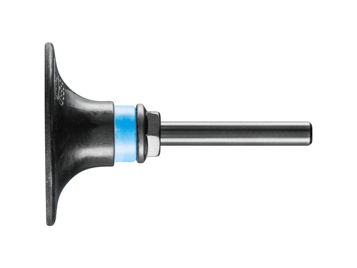 COMBI-DISC-HALTER