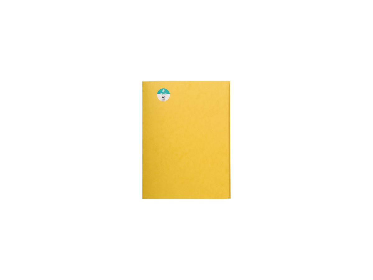 Exacompta Sammelmappe 56404E DIN A4 3Klappen Karton gelb