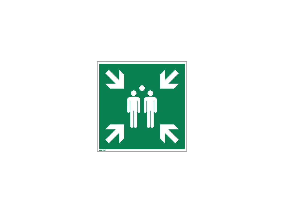 Hinweisschild Sammelstelle ISO 7010 400x400mm PVC