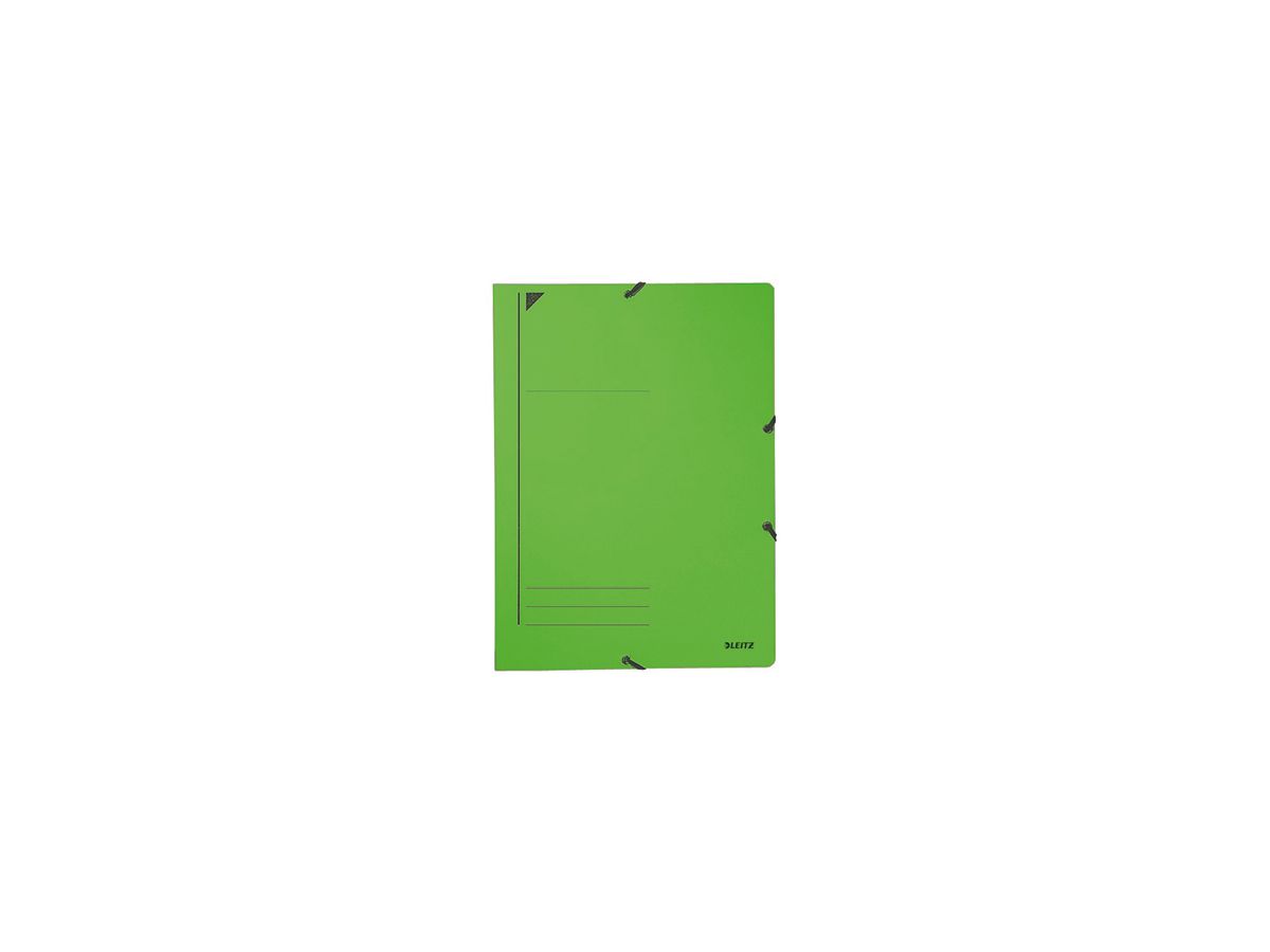 Leitz Eckspanner 39800055 DIN A4 250Blatt Colorspankarton grün