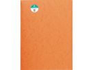 Exacompta Sammelmappe 56409E DIN A4 3Klappen Karton orange