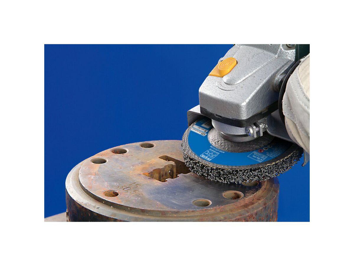 Disc Policlean PCLD 125x13mm Pferd