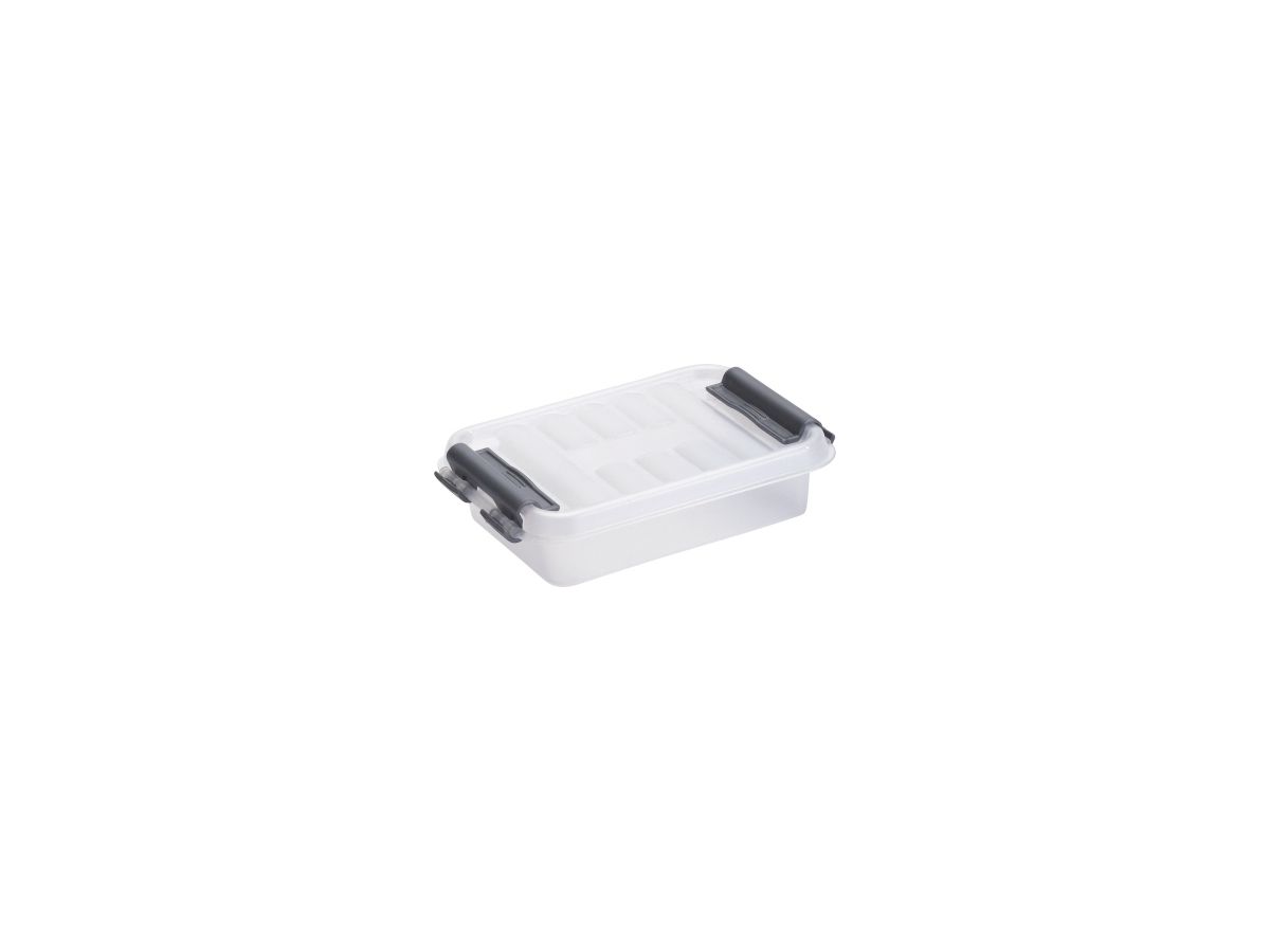 Sunware Aufbewahrungsbox Q-line H6162002 0,2l Deckel transparent