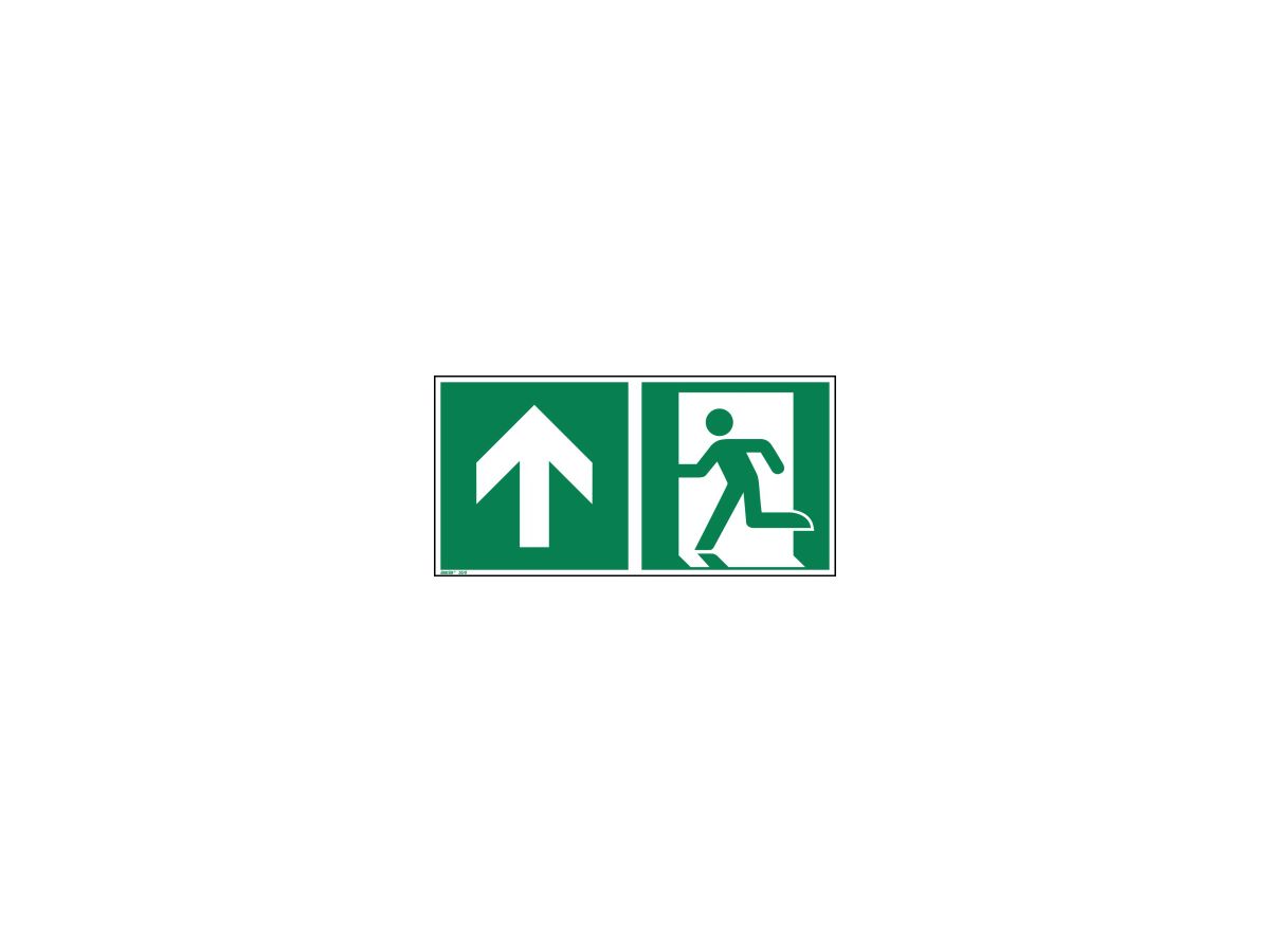 Hinweisschild Notausgang geradeaus ISO 7010 300x150mm PVC