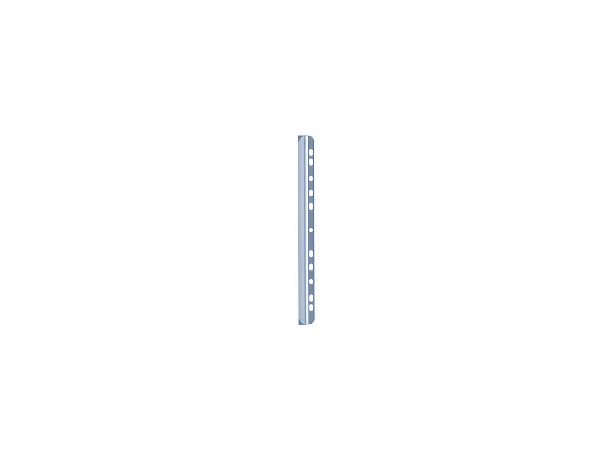 DURABLE Klemmschiene 290219 DIN A4 30Bl Kunsstoff tr 50 St./Pack.