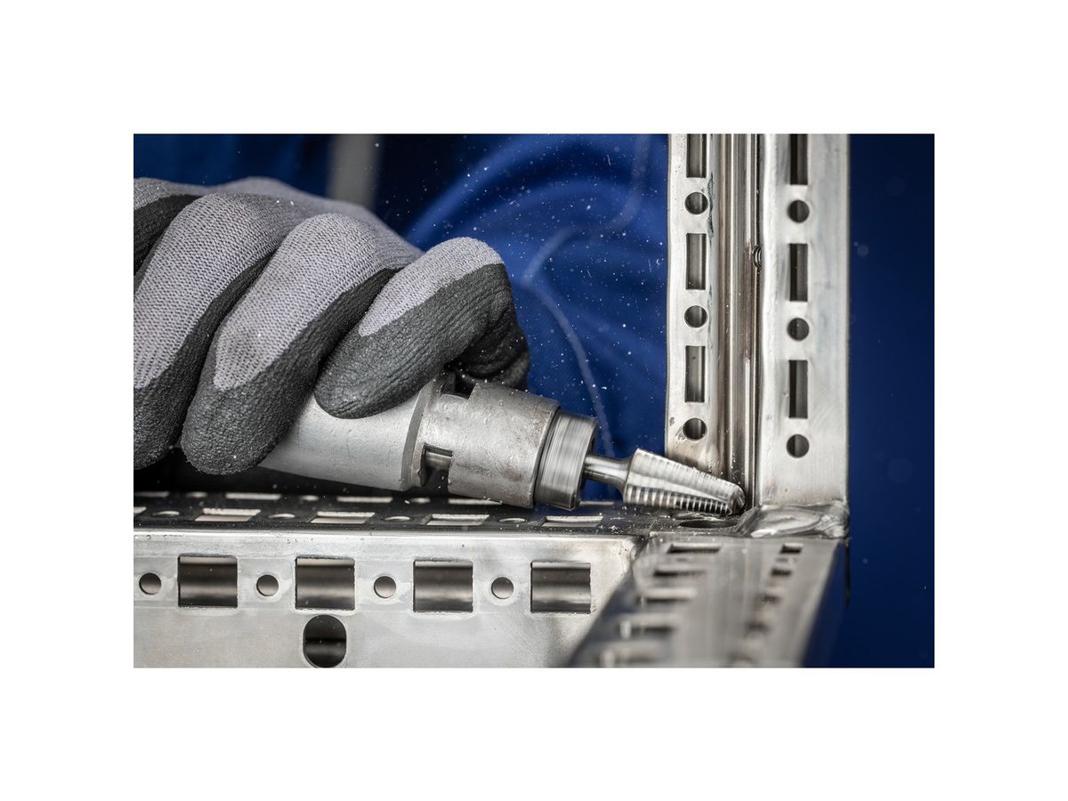 C. burr HM KEL 1230 4 6mm 12x30 mm Pferd