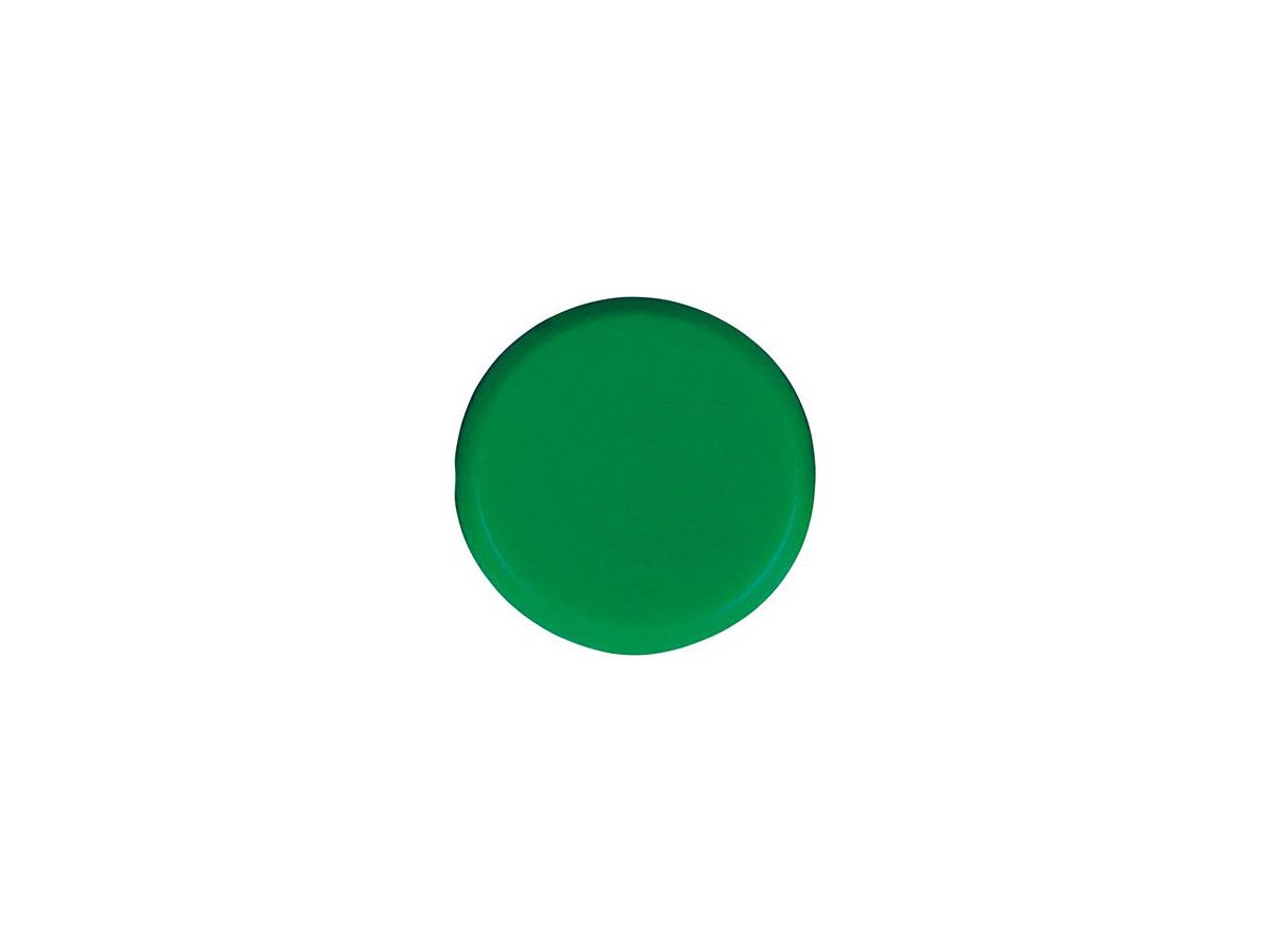 Organisationsmagnet rund grün 20mm         Eclipse