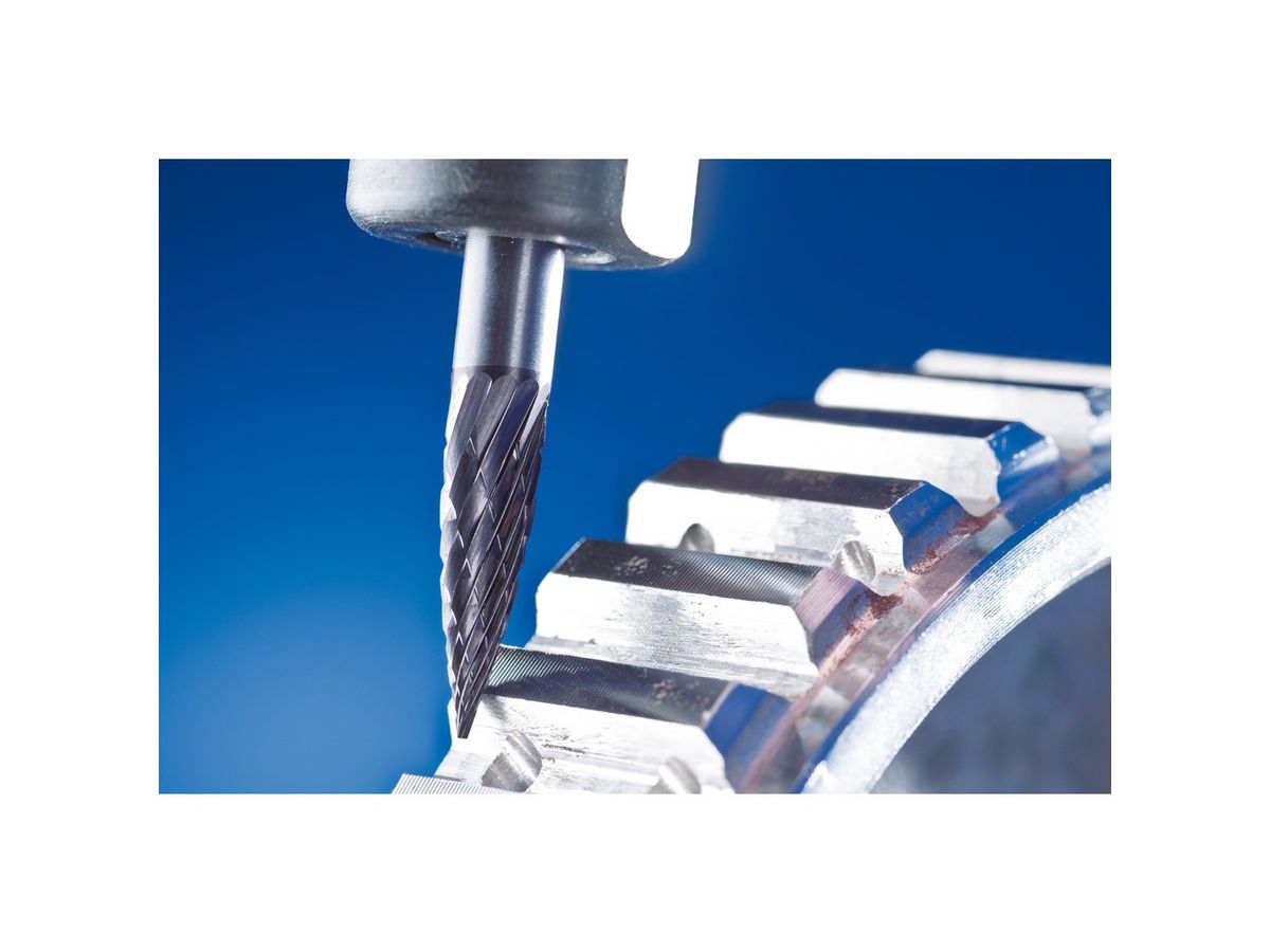 C. burr HM SPG 0618 4 6mm 6x18 mm Pferd