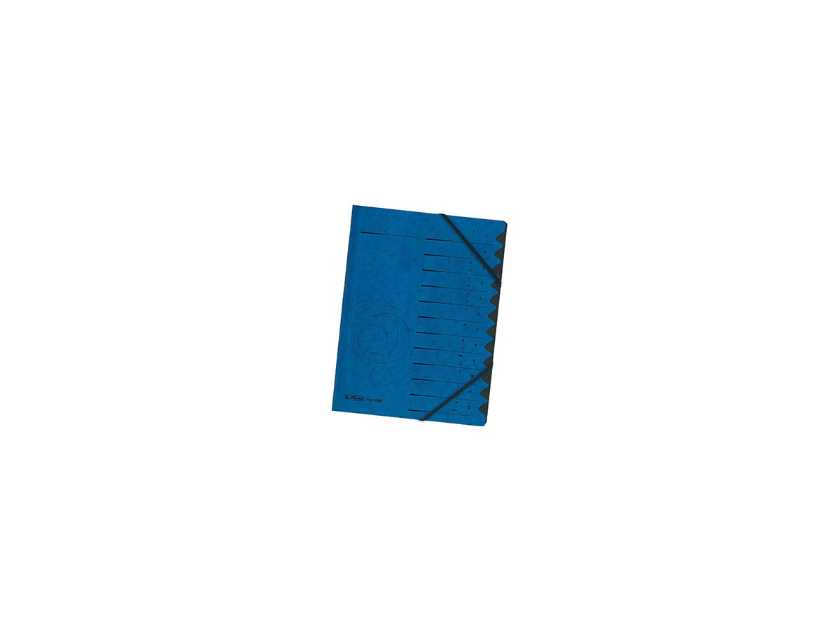 Herlitz Ordnungsmappe 10843316 DIN A4 12 Fächer Karton blau