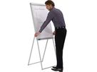 Franken Flipchart Standard Deluxe FC84 67x95cm hellgrau