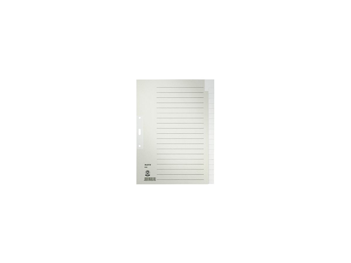 Leitz Register 60960085 blanko DIN A4 Tauenpapier grau
