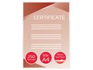 GBC Folientasche DocumentPouch 3740449 DIN A4 250mic 50 St./Pack.