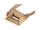 ColomPac Versandkarton Eurobox CP154.302015 294x194x137mm braun