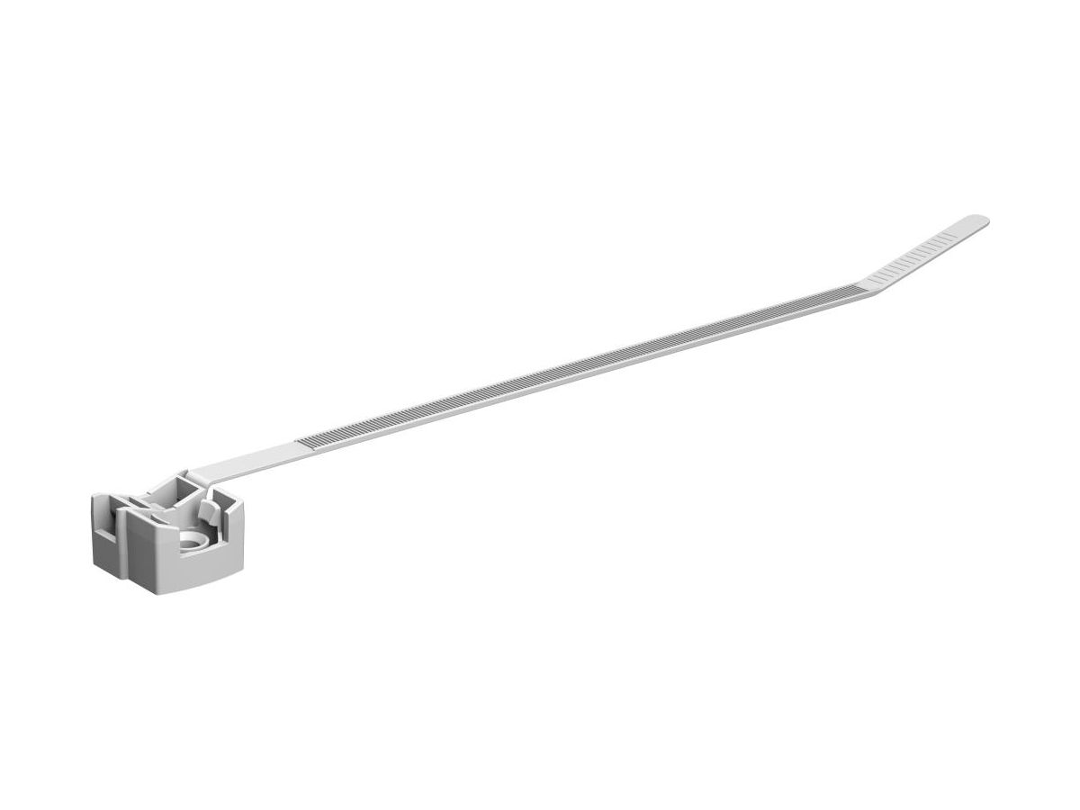BOSCH Befestigungsverbinder PRO EPT-V 62-36
