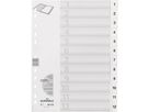 DURABLE Ordnerregister 611202 DIN A4 1-12 geprägte Taben ws