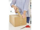 Tesa - Pack Nr. 57176 66 m x 50 mm transparent