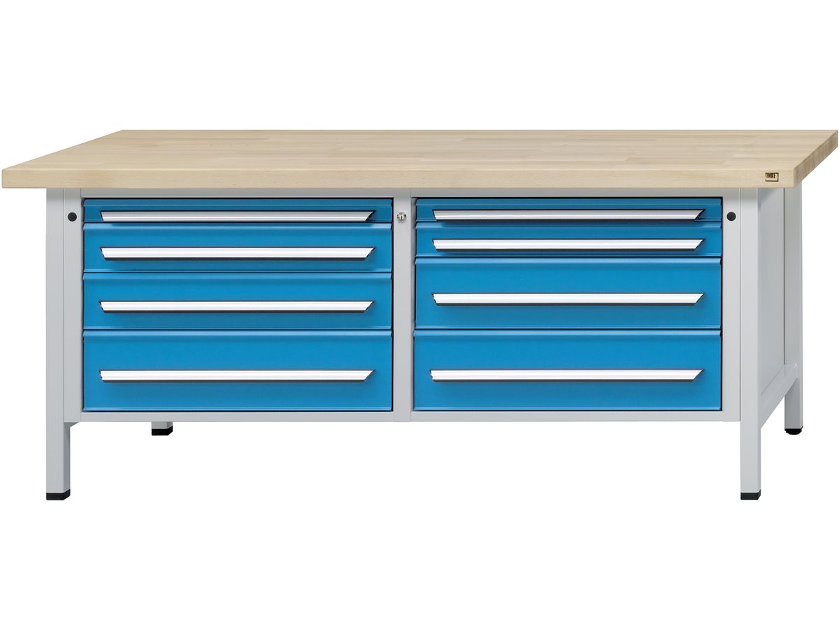 Kastenwerkbank H 890 mm 2000mm Modell 141 VX Anke