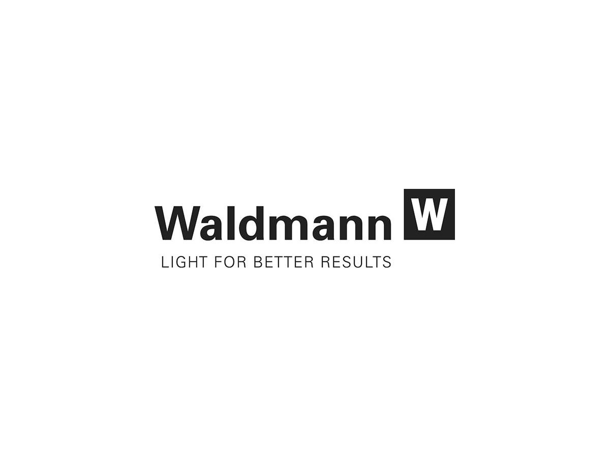 WALDMANN Maschinenleuchte MLAL 28S 17W/24V(DC)/IP67/SKIII L=365 mm