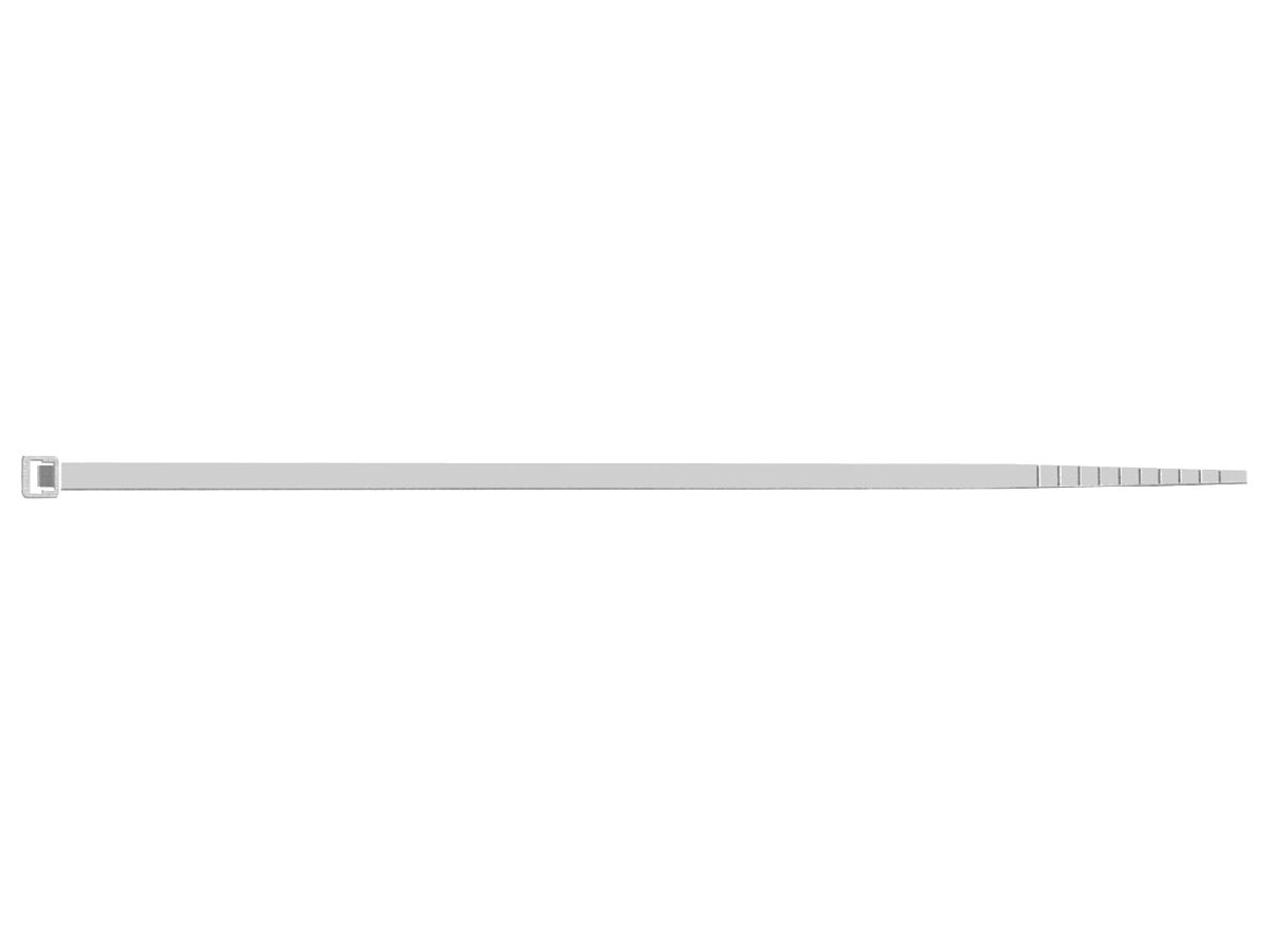 SAPISELCO Kabelbinder Pack a 100 Stück, natur, 200x2,5mm