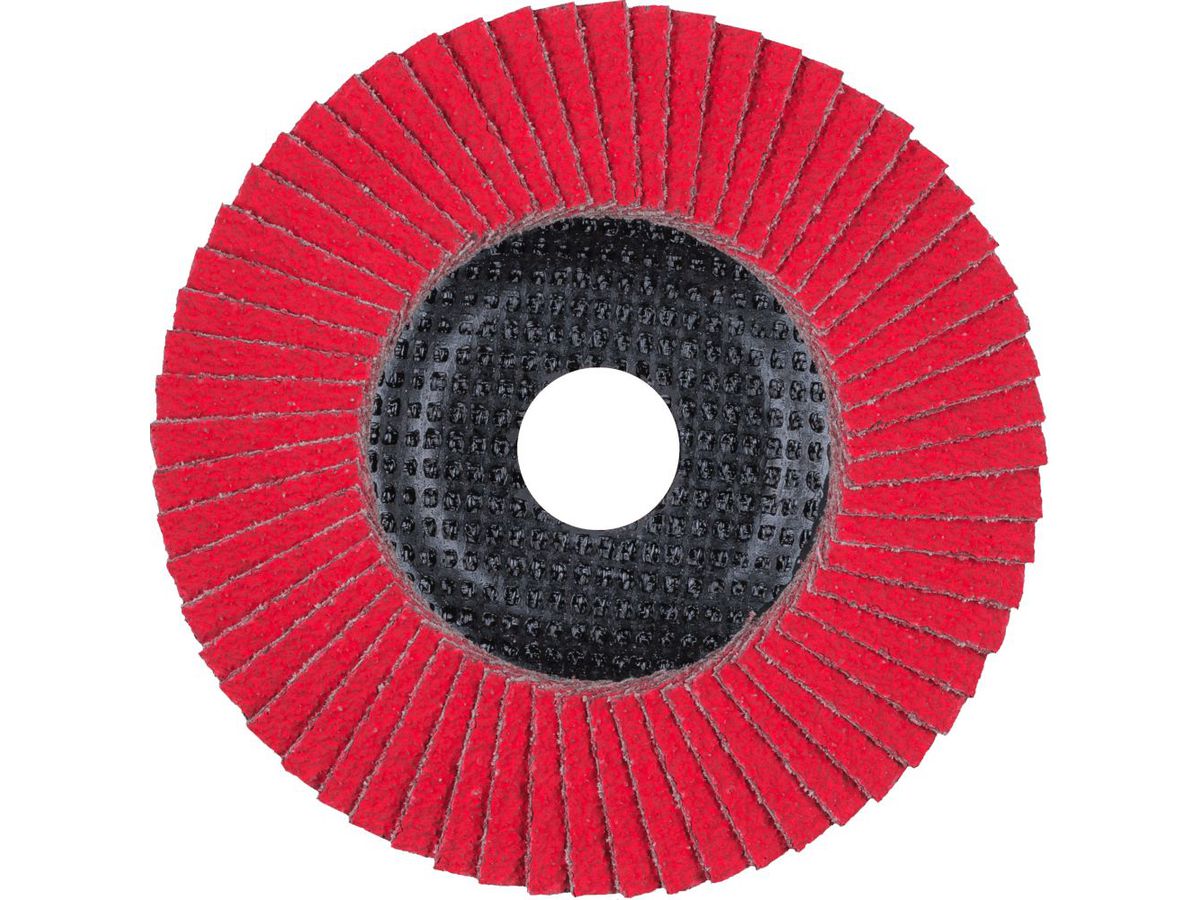 Fächerschleifscheibe gewölbt 125mm CO40 SGP-COOL Pferd