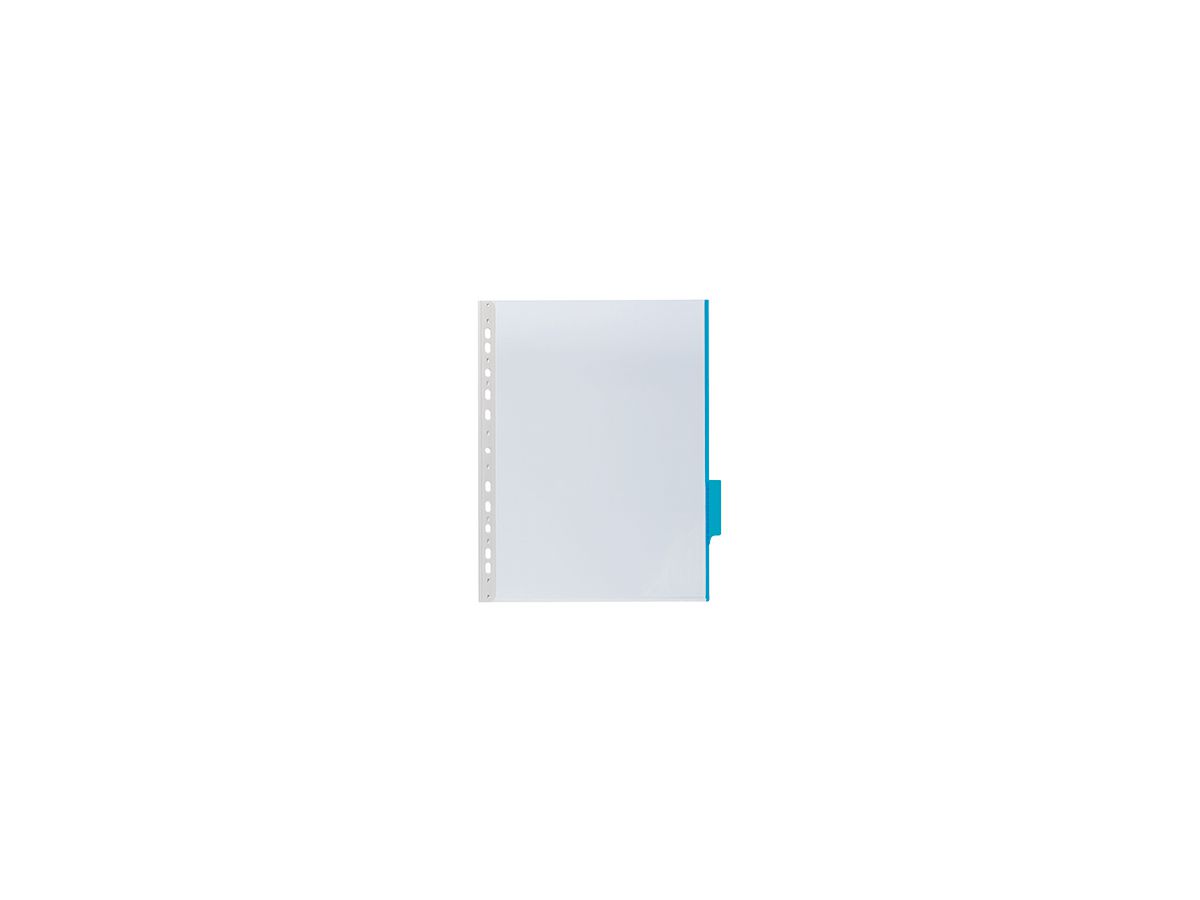 DURABLE Sichttafel FUNKTION panel 560706 DIN A4 Hartfolie blau