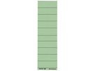 Leitz Beschriftungsschild 19010055 blanko 4zeilig grün 100 St./Pack.