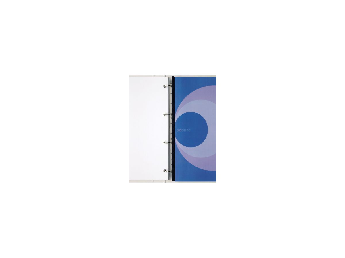 ibico Einhängeheftstreifen FileStrip IB184994 100 St./Pack.