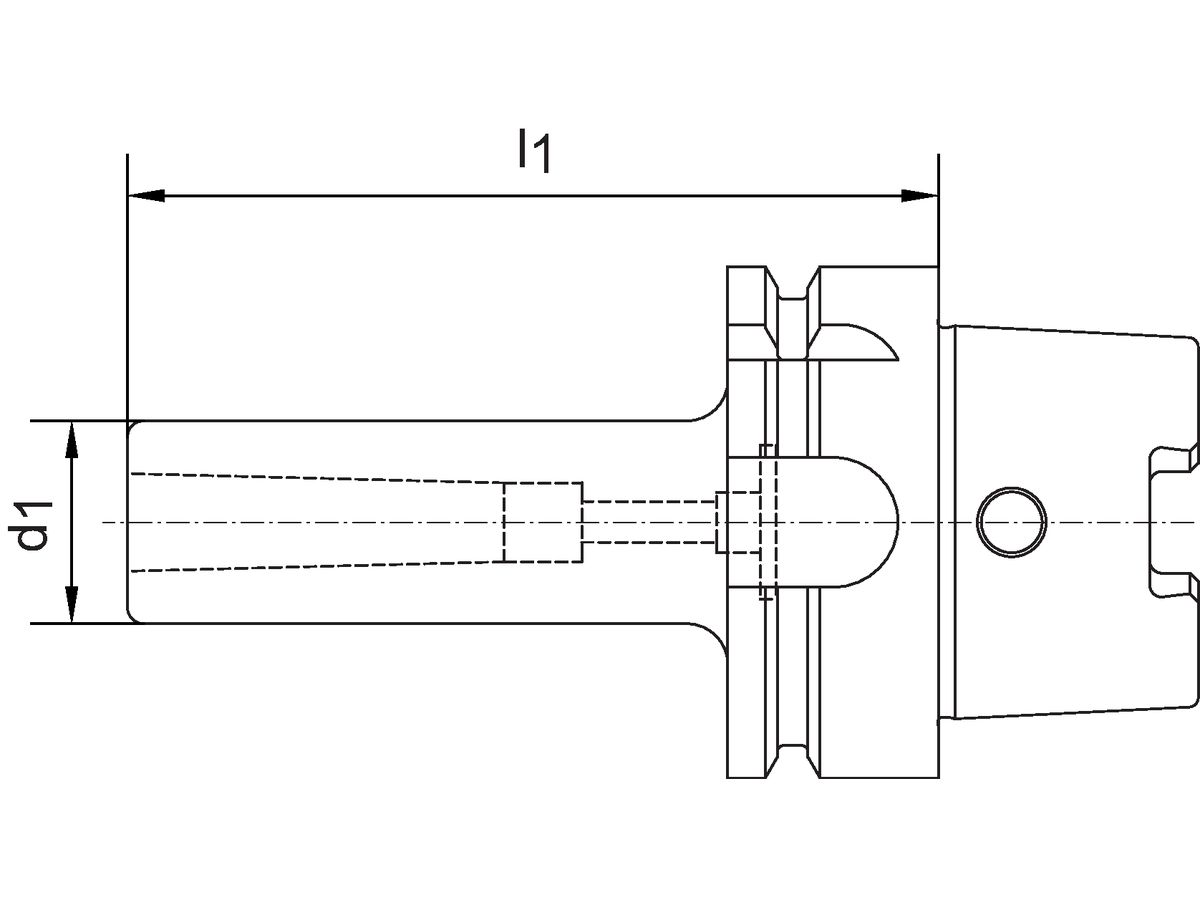 Adapter sl.Form-C D69893A HSK-A100 MK4x170mm Haimer