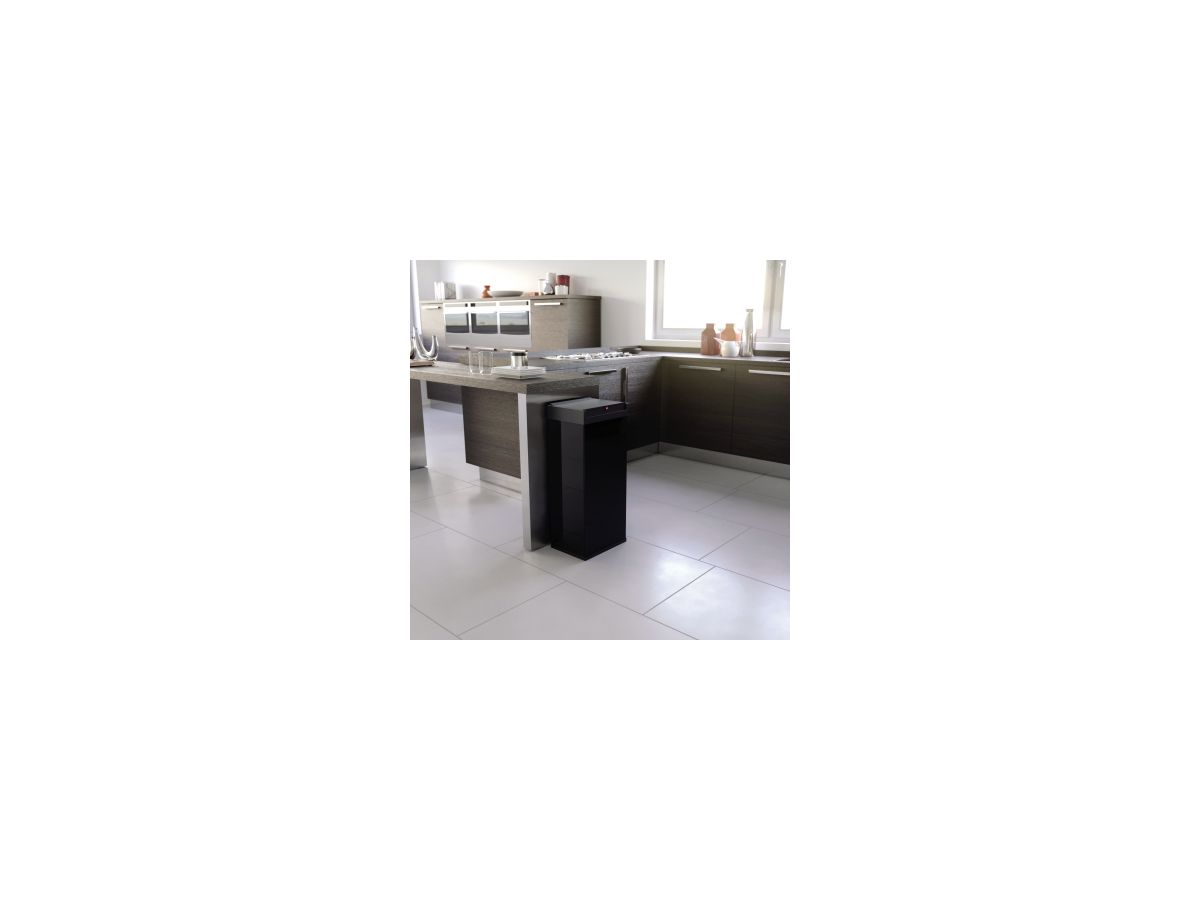 Hailo Abfalleimer Big-Box Swing XL 0860-241 52l schwarz