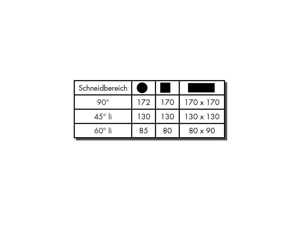 BERG&SCHMID Montagebandsäge PBS 171 ESC inkl. 1 Sägeband 6/10