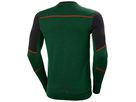 HELLY HANSEN LIFA Merino LS-Baselayer 75106