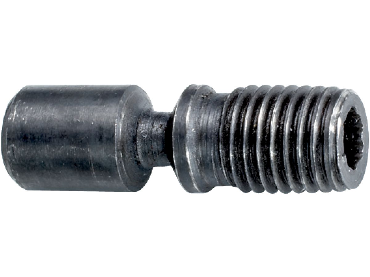 Clamp. screw M6x16.7 T08