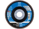 Fächerschleifscheibe gerade 125mm CO40 SGP-COOL Pferd