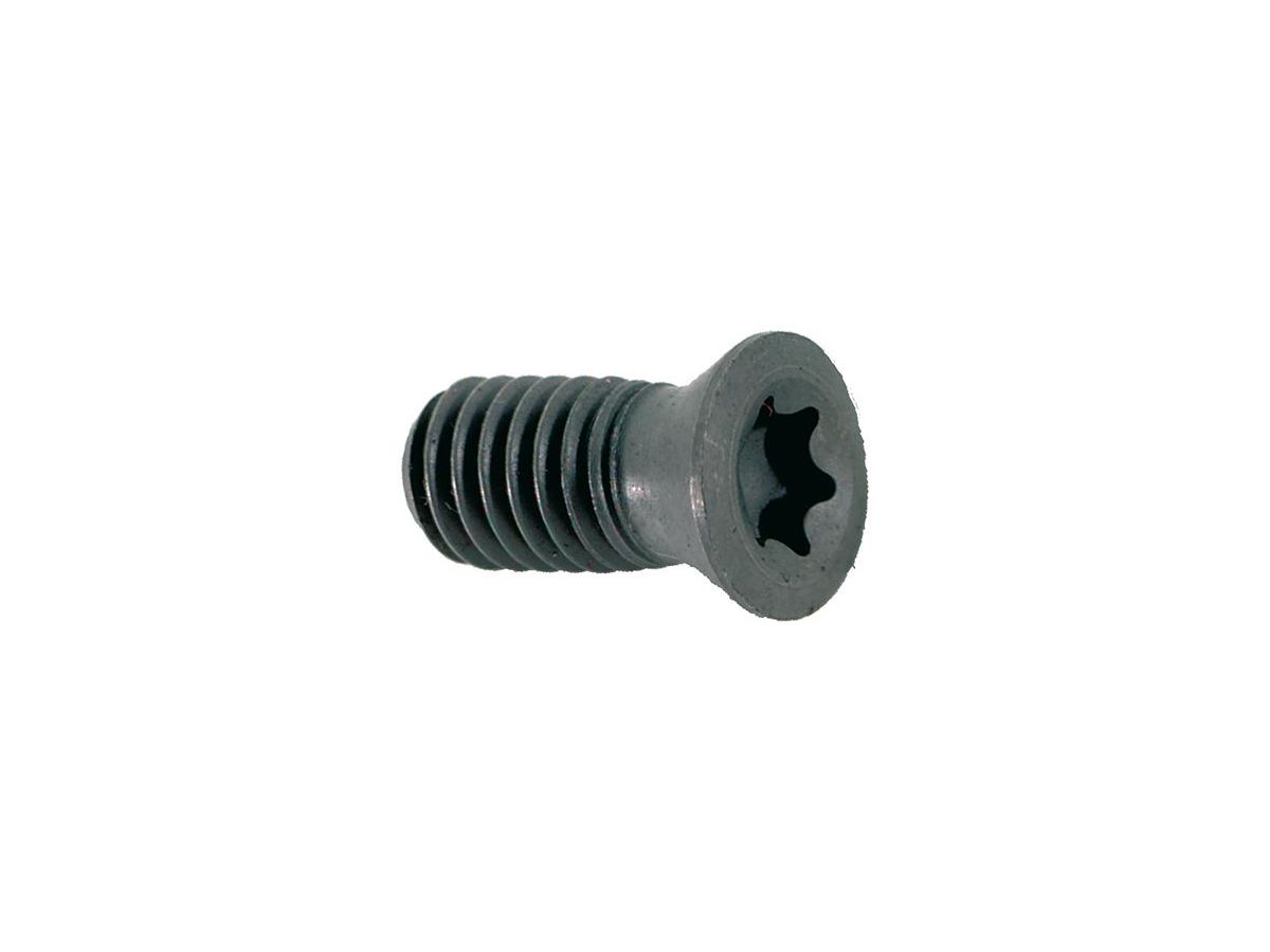 FORMAT Torxschraube für Vollbohrer 3xD US3510 (T15P)