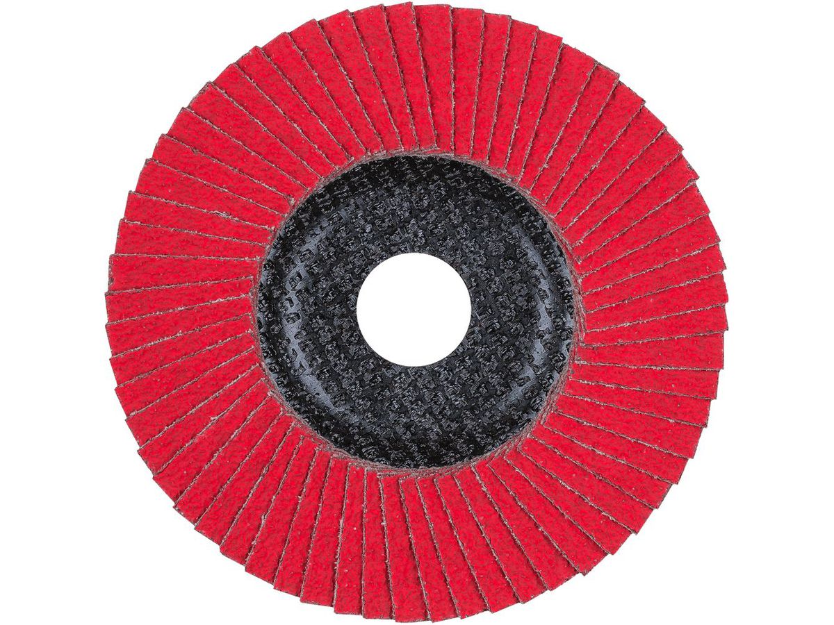 Fächerschleifscheibe gerade 125mm CO40 SGP-COOL Pferd