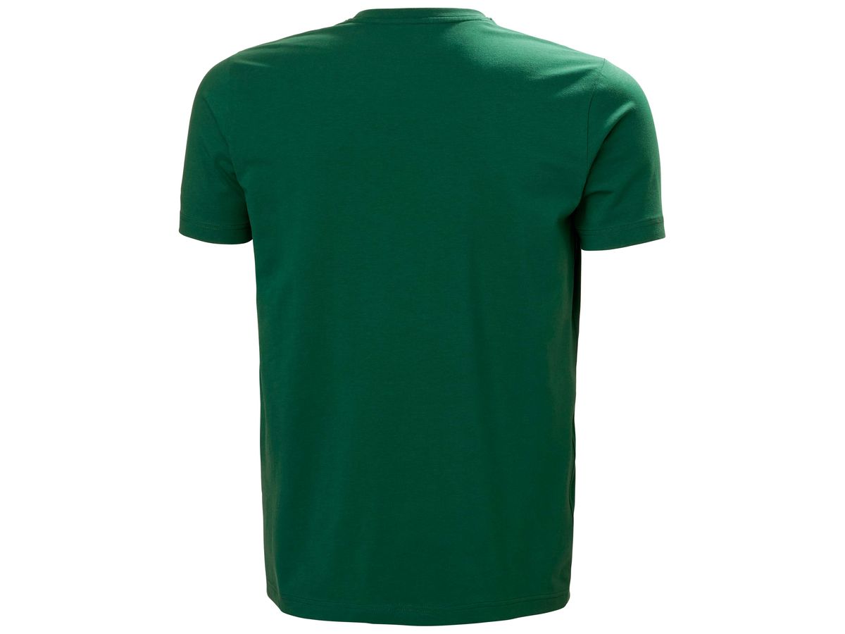 HELLY HANSEN Graphic T-Shirt 79261 fb 460 green Größe L