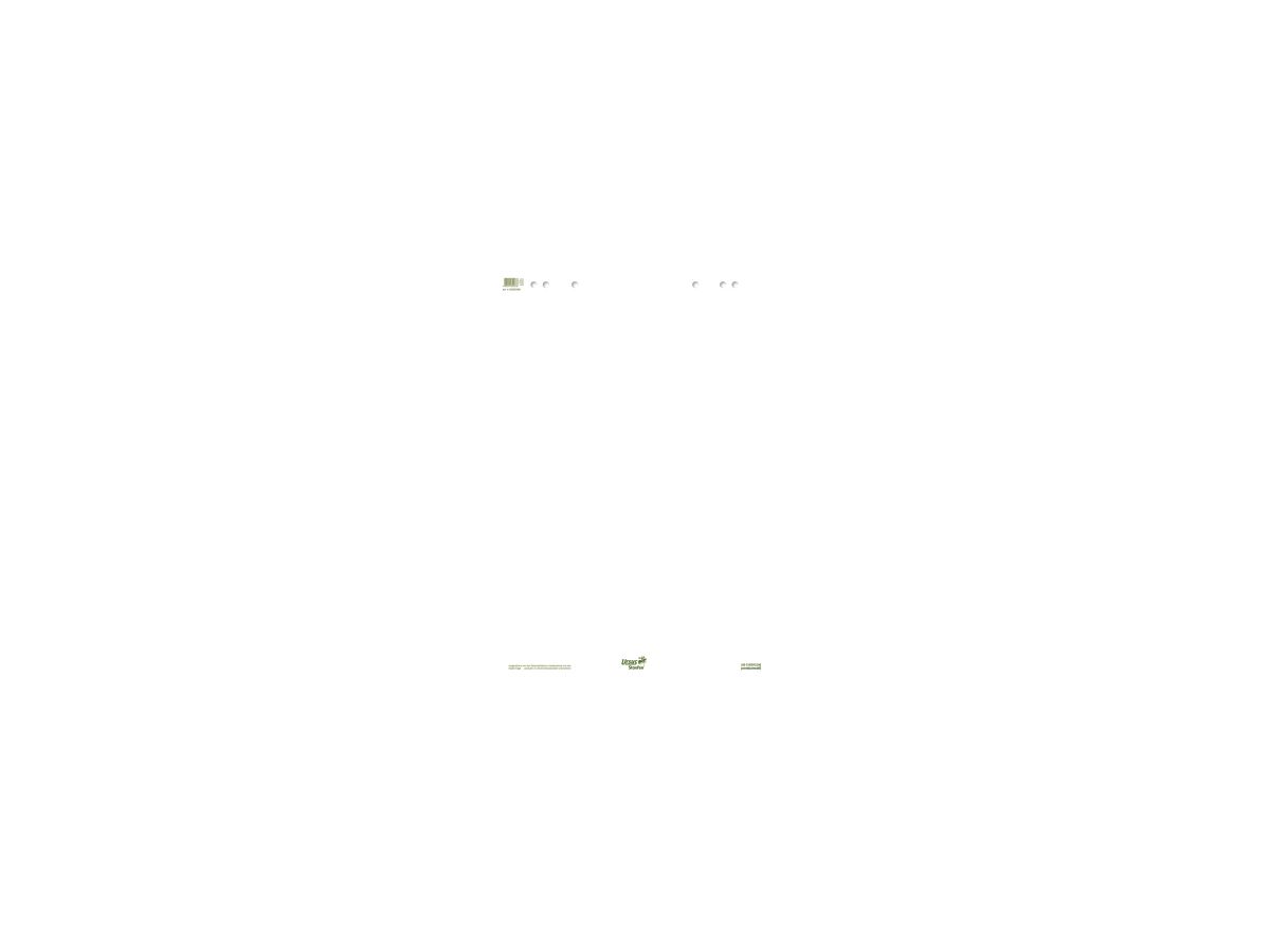 Ursus Flipchartblock Green 608580000 68x99cm 20Bl. blanko