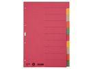 Leitz Register 43590000 DIN A4 blanko volle Höhe 230g Karton sort.