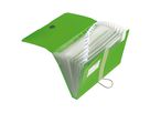 Herlitz Fächermappe easy orga to go 11209517 DIN A4 12Fächer PP apfel
