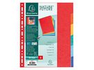 Exacompta Register XXL 2406E DIN A4 Manila-Karton 225g 6-tlg farbig
