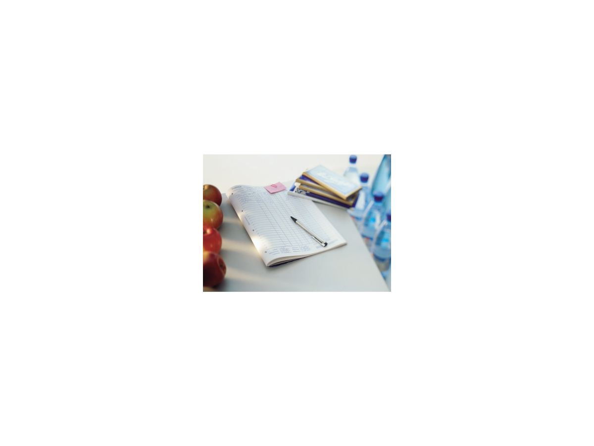 Avery Zweckform Inventurbuch 1101 DIN A4 50Blatt