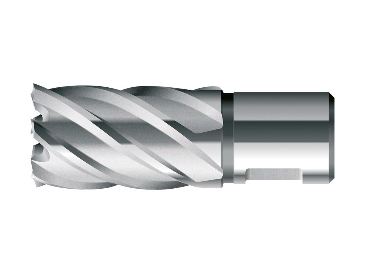 BDS Kernbohrer HSS 20,0 mm, Schnittiefe 30 mm