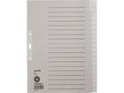 Leitz Register 12200085 blanko DIN A4 20teilig Papier grau