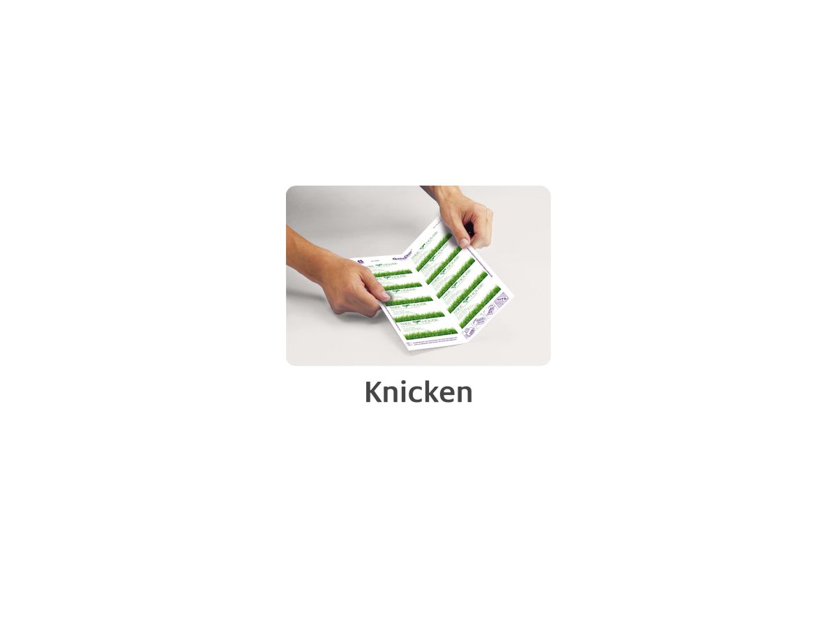 Avery Zweckform Visitenkarte C32011-10 DIN A4 weiß 10 St./Pack.