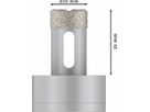 BOSCH X-LOCK Dry Sp. Dia-TrockenbohroneWS, 20mm