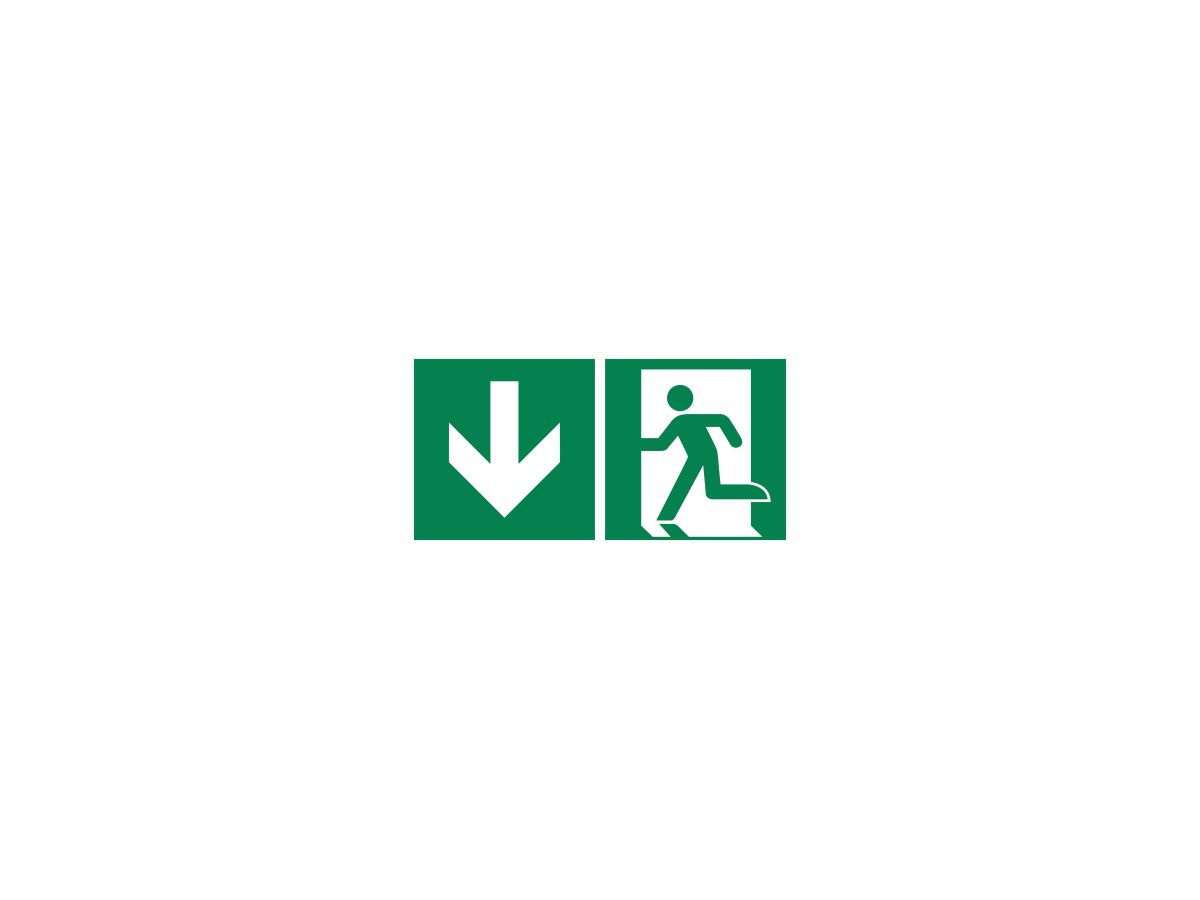 Hinweisschild Notausgang 30x15cm Hart-PVC