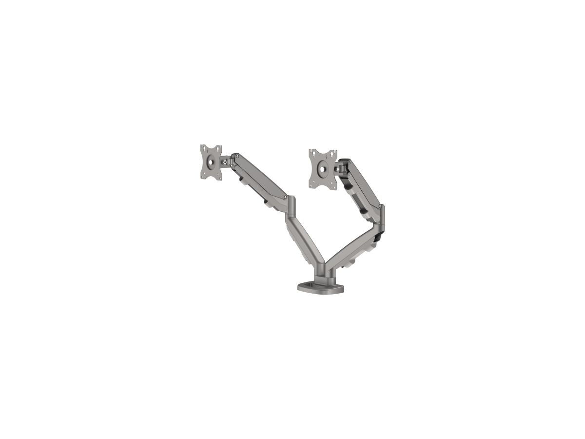 Fellowes Monitorarm Eppa 9683301 doppel si