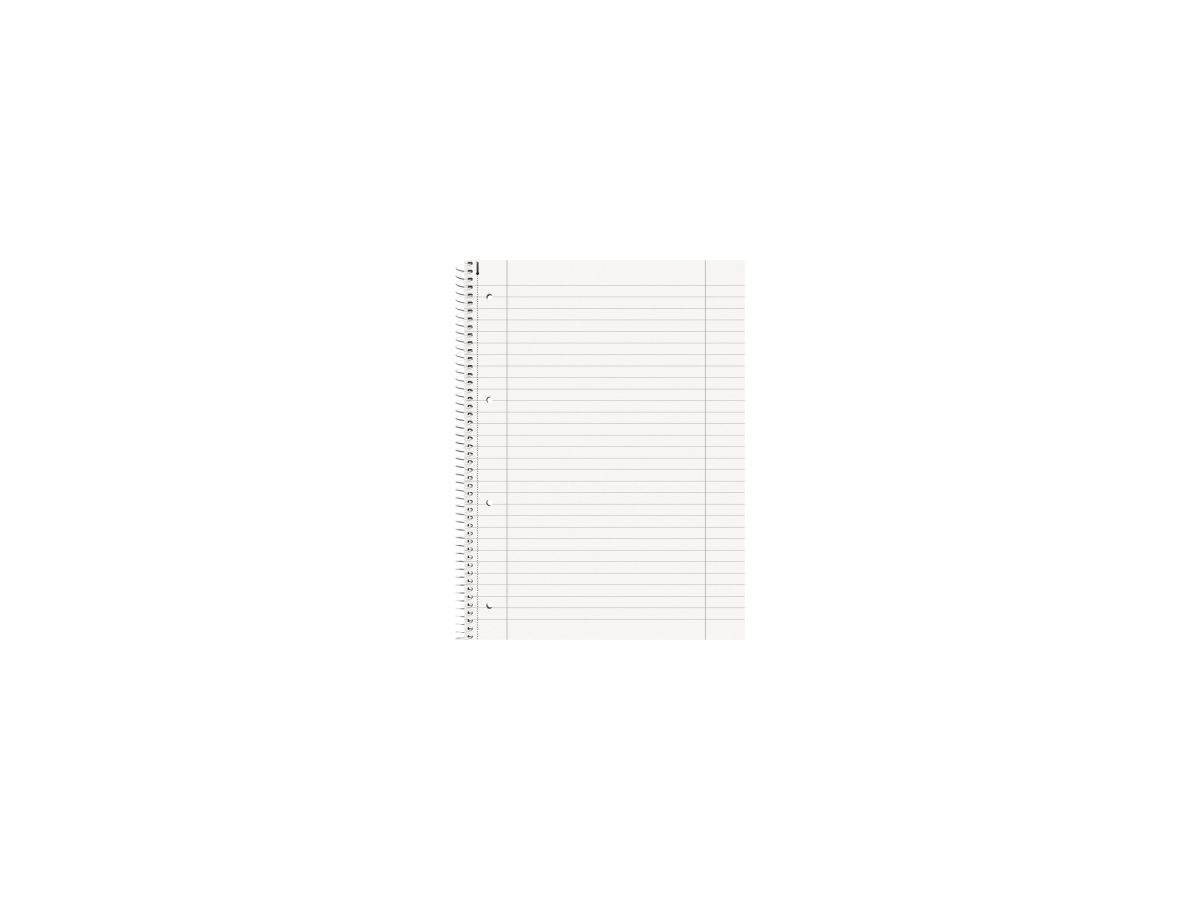 BRUNNEN  Collegeblock Duo A4 Lin28+27 Premium