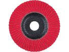Fächerschleifscheibe gewölbt 125mm CO40 SGP-COOL Pferd