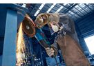 BOSCH EXPERT Winkelschleifer EXWS30-230B im Karton